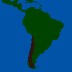 Chilean Rose-Hair Tarantula Map